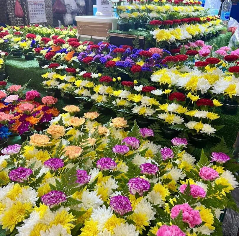 Legal_Nomads_Tajlandia_2024_037 Legal_Nomads_Tajlandia_2024_037