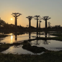 Legal_Nomads_Madagaskar_2025_054 Legal_Nomads_Madagaskar_2025_054