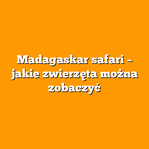 Madagaskar safari – jakie zwierzęta można zobaczyć