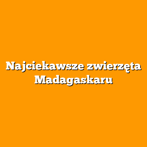 Najciekawsze zwierzęta Madagaskaru