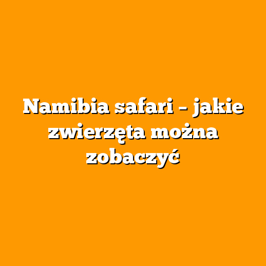Namibia safari – jakie zwierzęta można zobaczyć