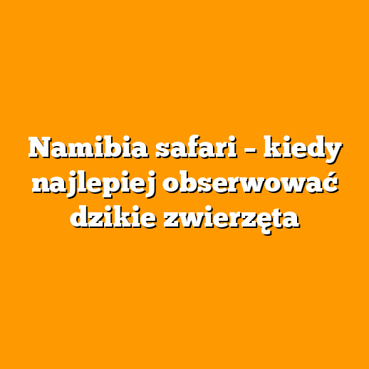Namibia safari – kiedy najlepiej obserwować dzikie zwierzęta