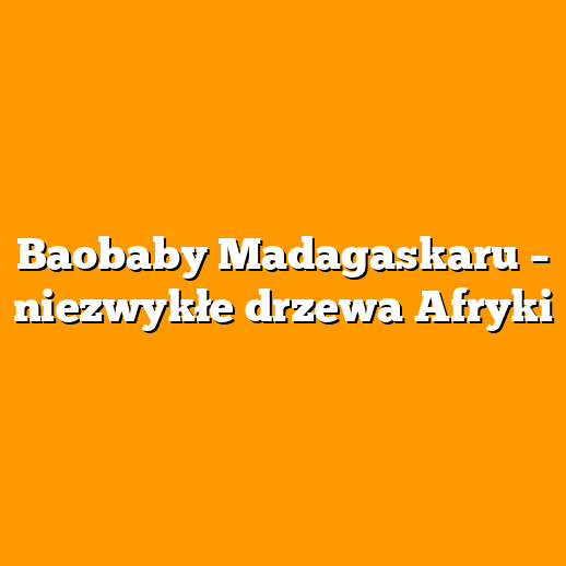 Baobaby Madagaskaru – niezwykłe drzewa Afryki