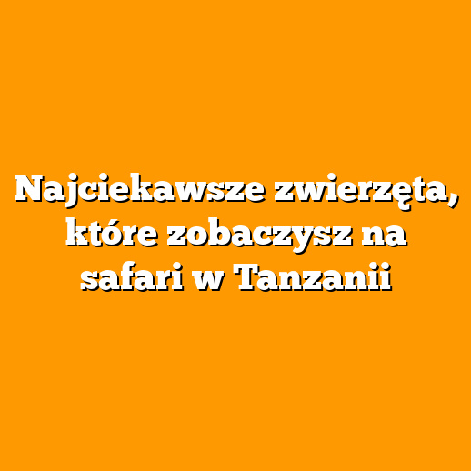 Najciekawsze zwierzęta, które zobaczysz na safari w Tanzanii
