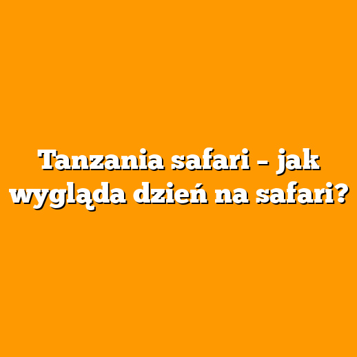Tanzania safari – jak wygląda dzień na safari?