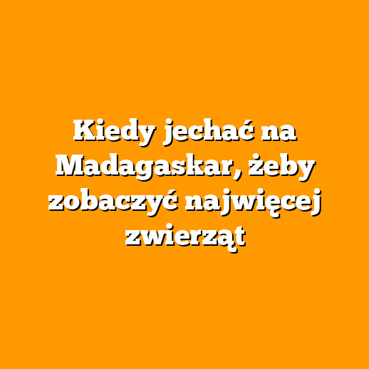 Kiedy jechać na Madagaskar, żeby zobaczyć najwięcej zwierząt