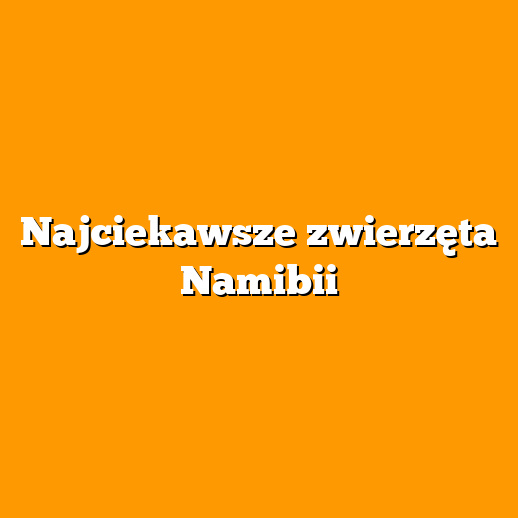 Najciekawsze zwierzęta Namibii