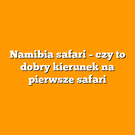 Namibia safari – czy to dobry kierunek na pierwsze safari