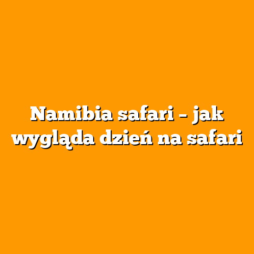 Namibia safari – jak wygląda dzień na safari