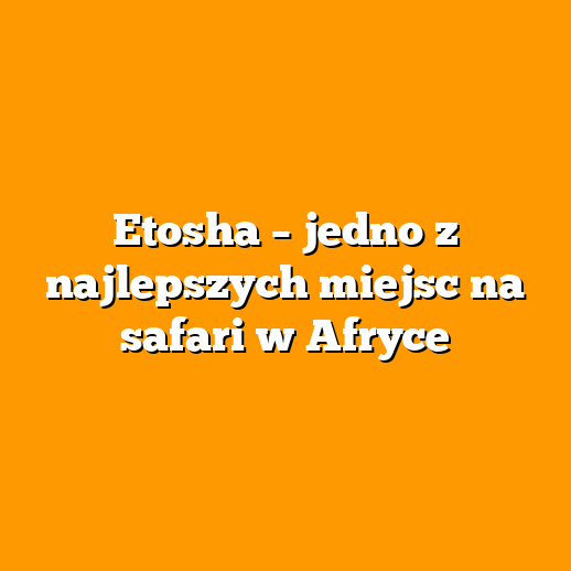 Etosha – jedno z najlepszych miejsc na safari w Afryce