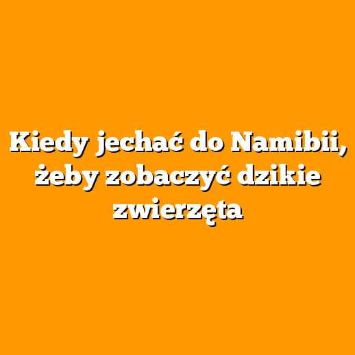 Kiedy jechać do Namibii, żeby zobaczyć dzikie zwierzęta