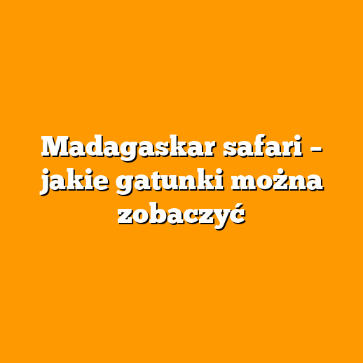 Madagaskar safari – jakie gatunki można zobaczyć