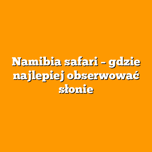 Namibia safari – gdzie najlepiej obserwować słonie