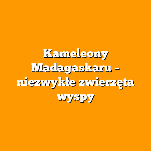 Kameleony Madagaskaru – niezwykłe zwierzęta wyspy