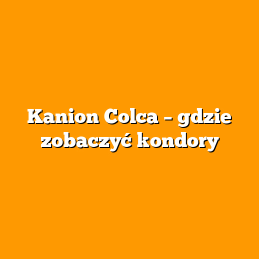 Kanion Colca – gdzie zobaczyć kondory
