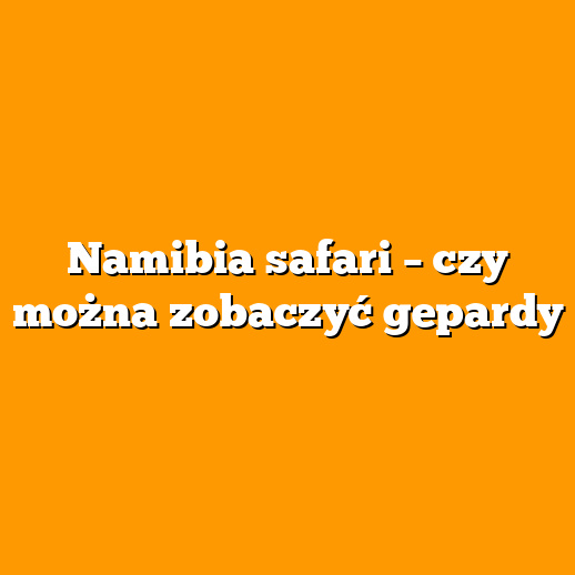 Namibia safari – czy można zobaczyć gepardy