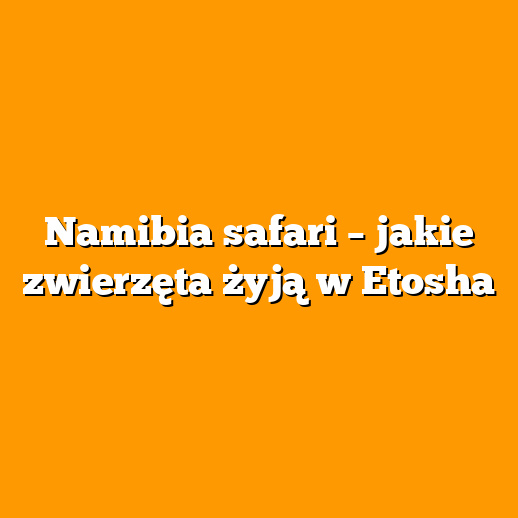 Namibia safari – jakie zwierzęta żyją w Etosha