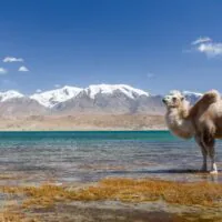Legal_Nomads_Tadzykistan_15