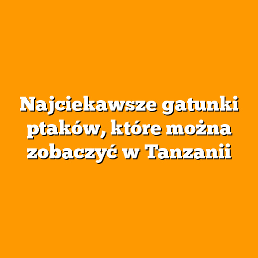 Najciekawsze gatunki ptaków, które można zobaczyć w Tanzanii