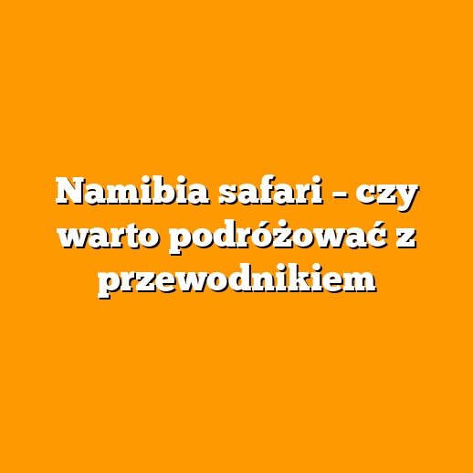 Namibia safari – czy warto podróżować z przewodnikiem