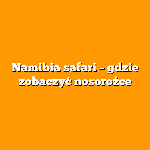 Namibia safari – gdzie zobaczyć nosorożce