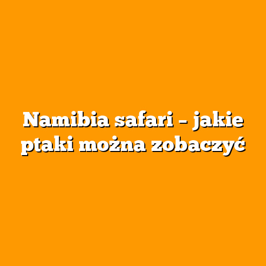 Namibia safari – jakie ptaki można zobaczyć