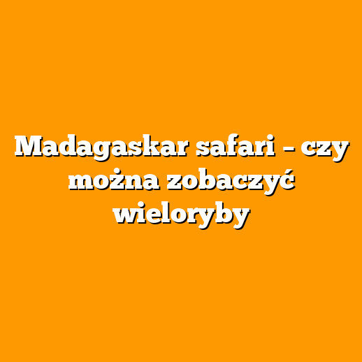 Madagaskar safari – czy można zobaczyć wieloryby