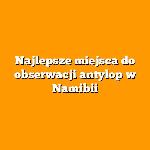 Najlepsze miejsca do obserwacji antylop w Namibii