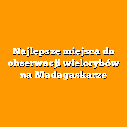 Najlepsze miejsca do obserwacji wielorybów na Madagaskarze