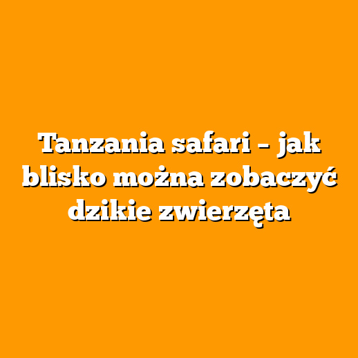 Tanzania safari – jak blisko można zobaczyć dzikie zwierzęta