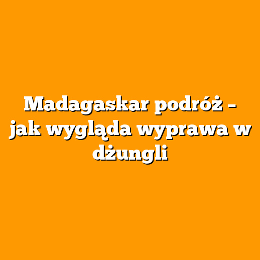 Madagaskar podróż – jak wygląda wyprawa w dżungli