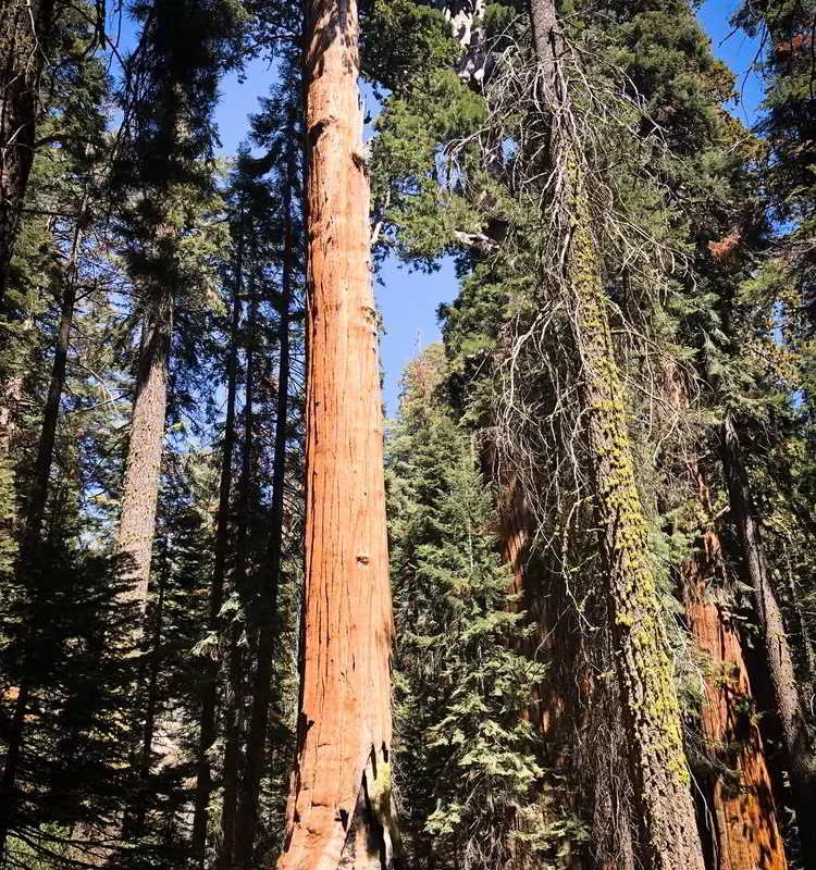 USA_2018 - Wyprawa_do_USA_2018_670.jpg