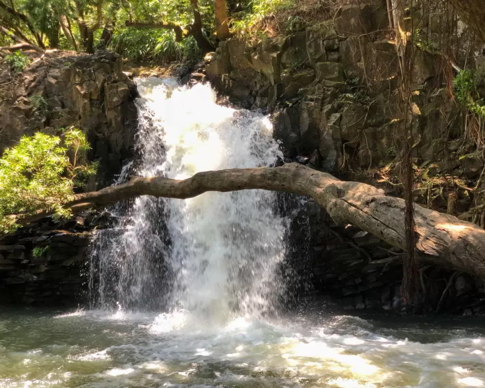 USA_2018 - Wyprawa_do_USA_2018_752.jpg
