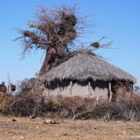 Botswana2015 - Botswana2015_199.jpg