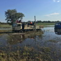 Botswana2017 - Botswana2017_39.jpg