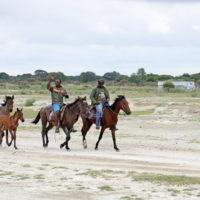 Botswana_2016_poramokra - Botswana2016_poramokra_16.jpg