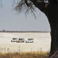 Botswana_pora_sucha - Botswana_pora_sucha_41.jpg