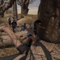 Botswana_pora_sucha - Botswana_pora_sucha_70.jpg