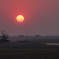 Botswana_pora_sucha - Botswana_pora_sucha_84.jpg