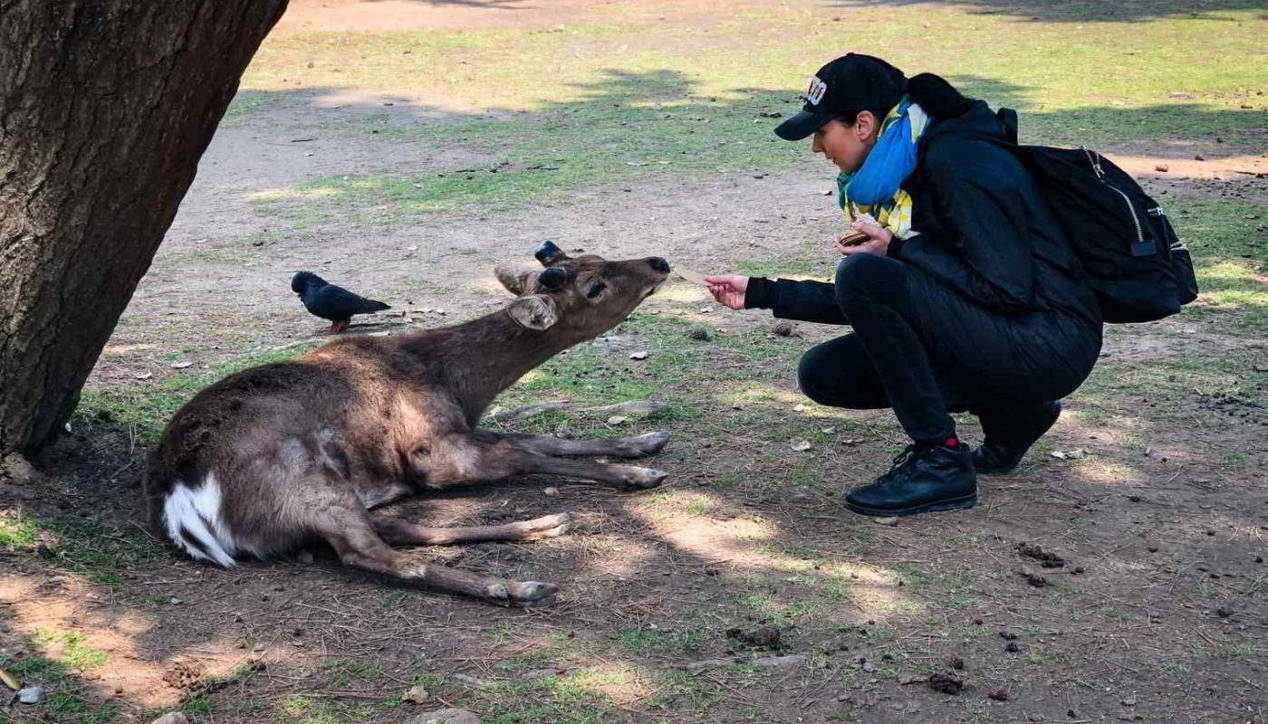 Japonia2019 - Wyprawa_do_Japonii_2019_143.jpg