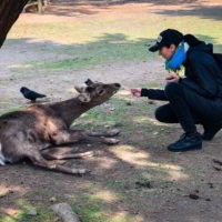 Japonia2019 - Wyprawa_do_Japonii_2019_143.jpg