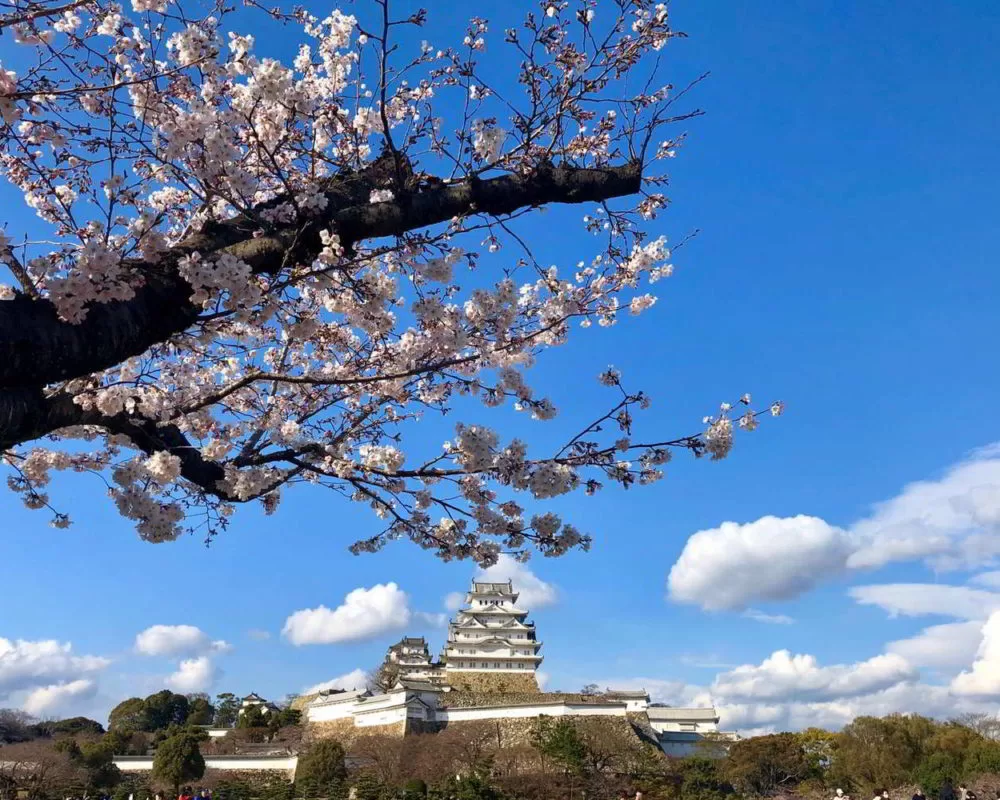 Japonia2019 - Wyprawa_do_Japonii_2019_166.jpg