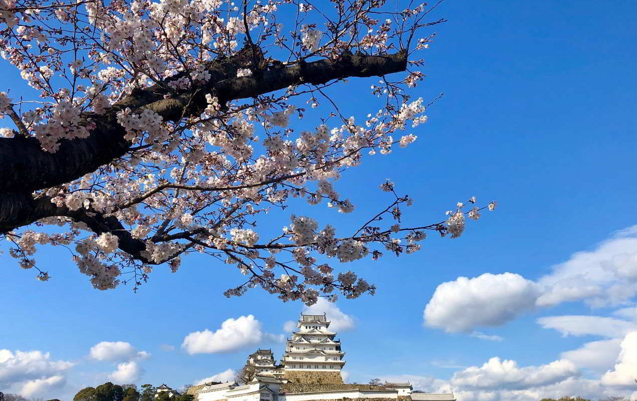 Japonia2019 - Wyprawa_do_Japonii_2019_166.jpg