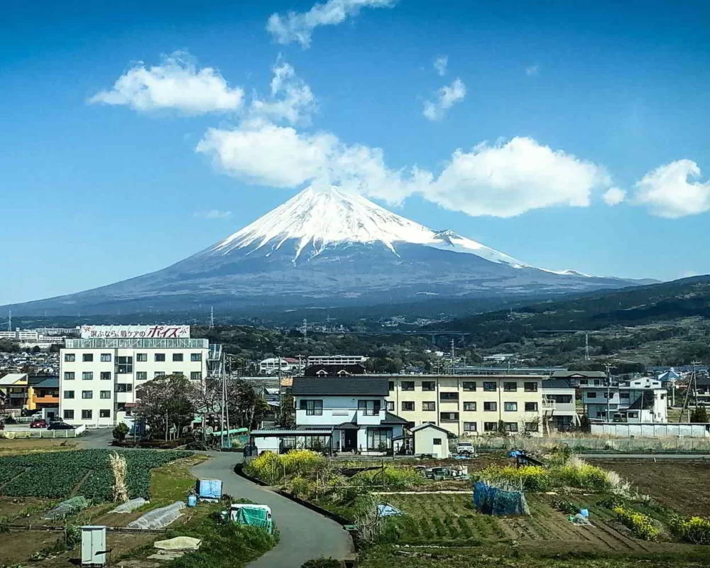 Japonia2019 - Wyprawa_do_Japonii_2019_182.jpg