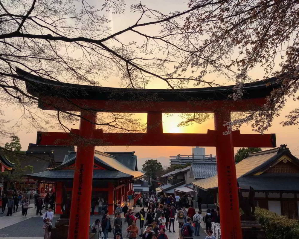 Japonia2019 - Wyprawa_do_Japonii_2019_240.jpg