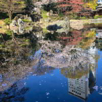 Japonia2019 - Wyprawa_do_Japonii_2019_241.jpg