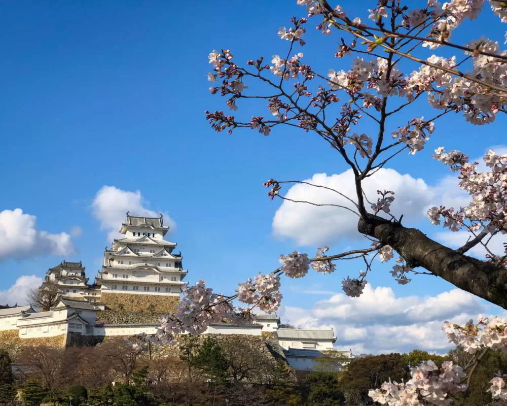 Japonia2019 - Wyprawa_do_Japonii_2019_264.jpg