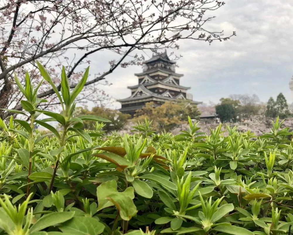 Japonia2019 - Wyprawa_do_Japonii_2019_282.jpg