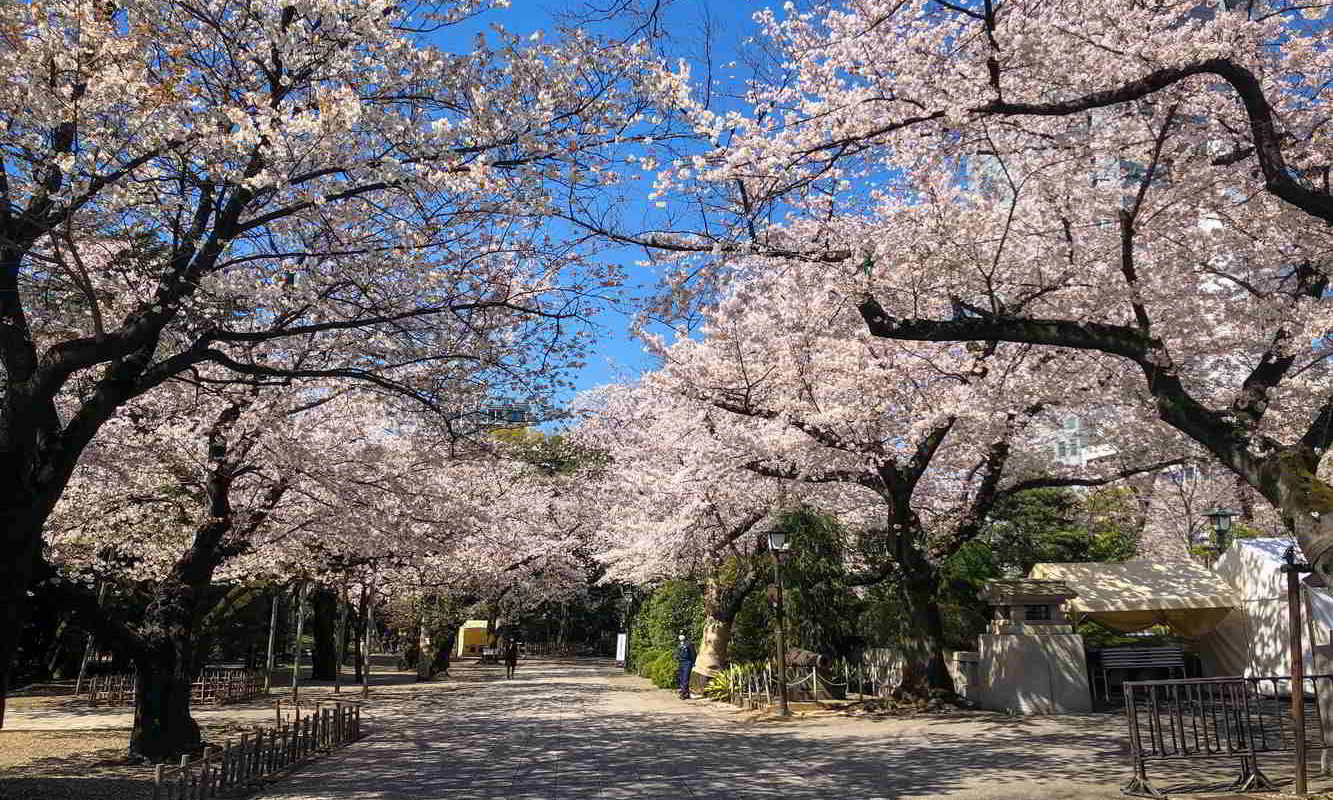 Japonia2019 - Wyprawa_do_Japonii_2019_285.jpg