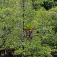 Kolumbia2016 - Wyprawa_do_Kolumbii_2016_253.jpg
